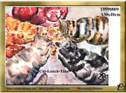 Cat Lunch Time...