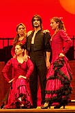 torero flamenco (Bild: Martin Schmitz)