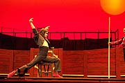 der Stier in Torero Flamenco