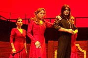 Torero Flamenco