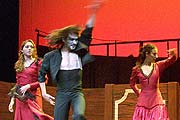 Torero Flamenco - der Stier tanzt