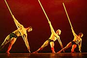 momix 1