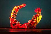 momix opus cactus (Bild: Martin Schmitz)