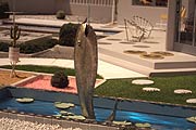 Auf Knopfdruck speit der Fisch (Foto: Marikka-Laila Maisel)