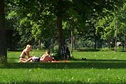 Liegewiesen mit vielen schattigen Bäumen (Foto: Martin Schmitz)