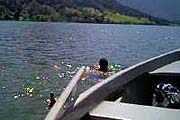 Schliersee (Bild: Martin Schmitz)