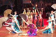 Showprogramm "Fiesta Espana" der Narrhalla (Foto: MartiN Schmitz)