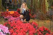 Mit der Azaleenschau kündigt sich die kommende Bundesgartenschau München 2005 bereits auf der Garten München vom 10. bis 13. März 2005 an. Sie zeigt eine Sammlung außergewöhnlich schöner und seltener Azaleen (Foto: ghm/Loske)