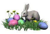Osterhase (ani)