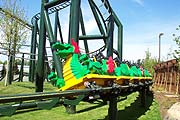 Feuerdrachen