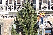 2.500 Kerzen schmücken die Zweige (Foto: Martin Schmitz)