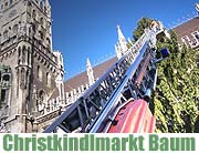 Ein Baum für den Münchner Christkindlmarkt: der City Christbaum 2004 kommt aus dem bayerischen Wald (©Foto: Martin Schmitz)