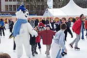 Die Attraktion: der Eisbär