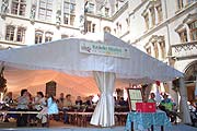 9. Fränkisch-Badisches Weinfest (Bild: Martin Schmitz)