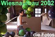 Wiesnaufbau 2002 - Trauben putzen im Weinzelt (©Bild: Marikka-Laila Maisel)