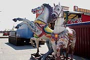 Hippodrom Pferde