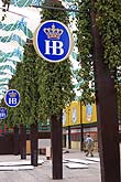 Hopfendeko im Hofbräuzelt