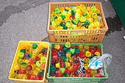 Skooter Lämpchen bei Distel