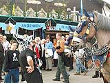 Fertiger Typ vor Paulaner Pferden