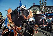 Bräurosl Zelt 2002 (Foto: Martin Schmitz)