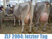 Letzter tag des zentral landwirtschafts Festes 2004 (Foto: Martin Schmitz)