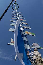 Der neue Maibaum 2005 in Thalkrichen wurde am 1.5.2005 aufgestellt (Foto: Martin Schmitz)