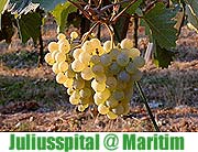 Am 22.07. präsentiert das Weingut Juliusspital einen kuliarischen Abend im Maritum Hotel München (Foto: M. Wienen/pixelquelle)