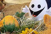 Halloween Mobile auf der Dult