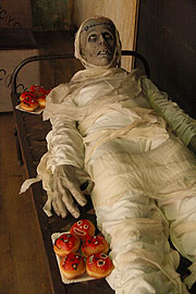 Halloween - der Horror-Shop Super Store in Landsham samt Keller des Schreckens  (©Foto: Martin Schmitz)