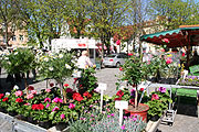 Biomarkt Altperlach (Foto. Martin Schmitz)