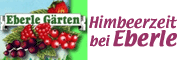 Himbeerzeit bei Eberle