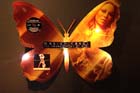 051130mariah_carey72
