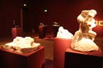 060921rodin_hypo23
