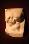 060921rodin_hypo27