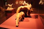 060921rodin_hypo31