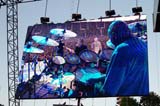 04phil_collins10