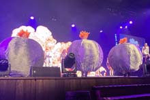 230210filserball030