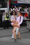 060812ig2csd2006_02
