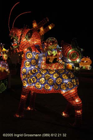 050901light_of_joy597