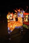 050901light_of_joy654