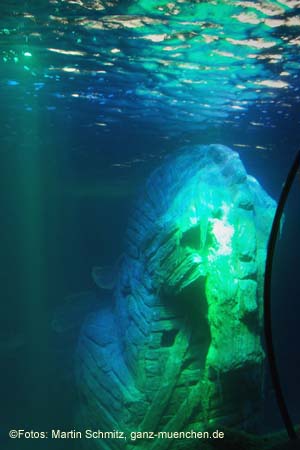 060321sea_life004