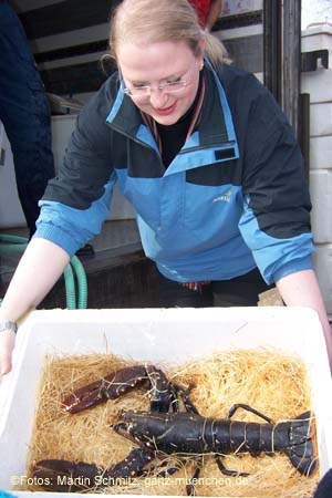 060321sea_life085