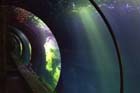 060321sea_life005
