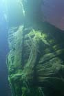 060321sea_life006