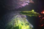 060321sea_life023