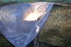 060321sea_life080