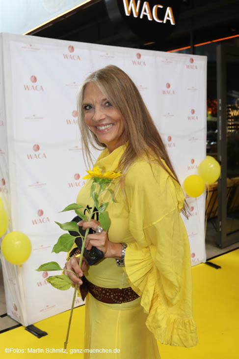 230712waca-yellow006