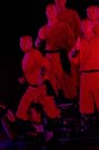 050301krone_kung_fu03