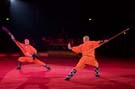 050301krone_kung_fu06
