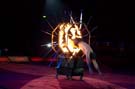 050301krone_kung_fu14